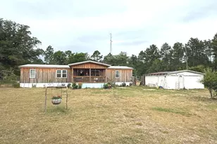 19 Cow Ford Bridge Rd, Adrian, GA 31002 - Photo 3