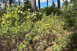 1348 S US Hwy 1, Alma, GA 31510 - Photo 33