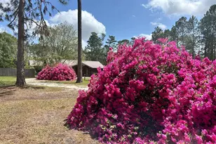 1348 S US Hwy 1, Alma, GA 31510 - Photo 27
