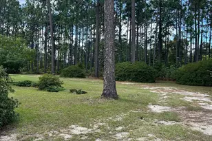 1348 S US Hwy 1, Alma, GA 31510 - Photo 39