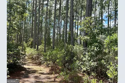 1348 S US Hwy 1, Alma, GA 31510 - Photo 31