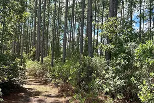1348 S US Hwy 1, Alma, GA 31510 - Photo 31