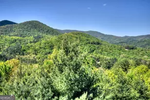 459 Quail Ridge Road, Blue Ridge, GA 30513 - Photo 53