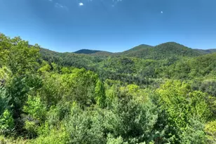 459 Quail Ridge Road, Blue Ridge, GA 30513 - Photo 55