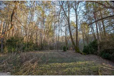 36.78 Ac Old Hwy 76, Morganton, GA 30560 - Photo 7