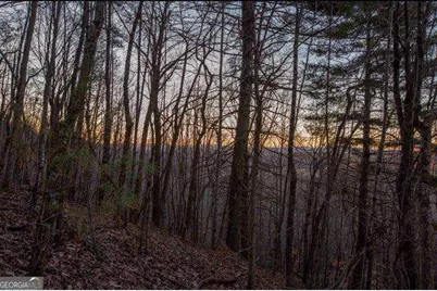 36.78 Ac Old Hwy 76, Morganton, GA 30560 - Photo 5