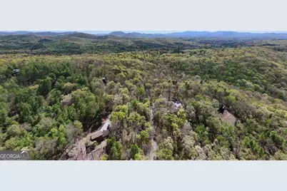 36.78 Ac Old Hwy 76, Morganton, GA 30560 - Photo 11