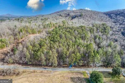 19.25 Ac Old Hwy 76, Morganton, GA 30560 - Photo 5