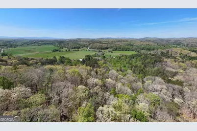 19.25 Ac Old Hwy 76, Morganton, GA 30560 - Photo 19