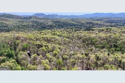 19.25 Ac Old Hwy 76, Morganton, GA 30560 - Photo 11