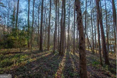 19.25 Ac Old Hwy 76, Morganton, GA 30560 - Photo 7