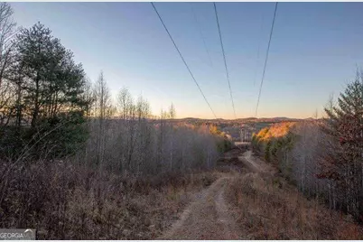 19.25 Ac Old Hwy 76, Morganton, GA 30560 - Photo 3