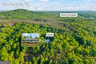 920 Yeoman Lake Rd, Clarkesville, GA 30523 - Photo 87
