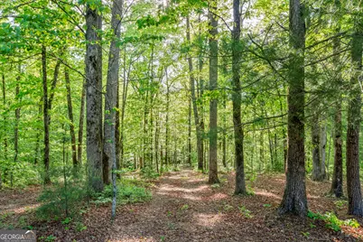 920 Yeoman Lake Road, Clarkesville, GA 30523 - Photo 75