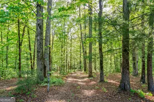 920 Yeoman Lake Rd, Clarkesville, GA 30523 - Photo 75