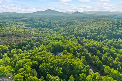 920 Yeoman Lake Road, Clarkesville, GA 30523 - Photo 93