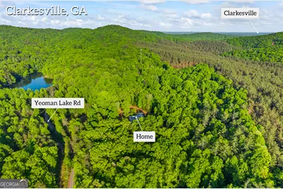 920 Yeoman Lake Road, Clarkesville, GA 30523 - Photo 89