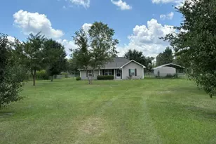 37 Oscar Carter Ln, Naylor, GA 31641 - Photo 29