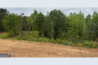 1020 Reagan Drive, Madison, GA 30650 - Photo 31