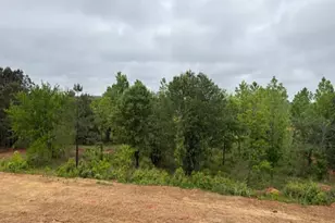 1020 Reagan Dr, Madison, GA 30650 - Photo 31