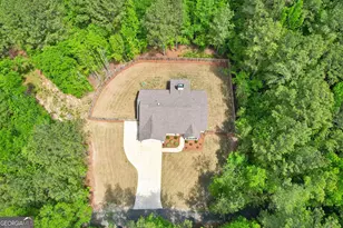 807 Rowe Rd, Senoia, GA 30276 - Photo 3