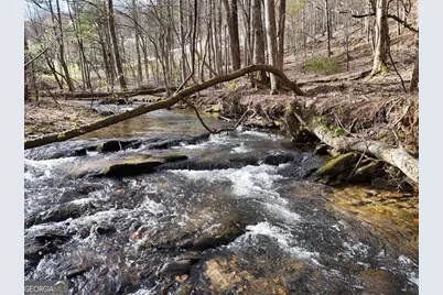 Tract 3 Whippoorwill Way, Blairsville, GA 30512 - Photo 21