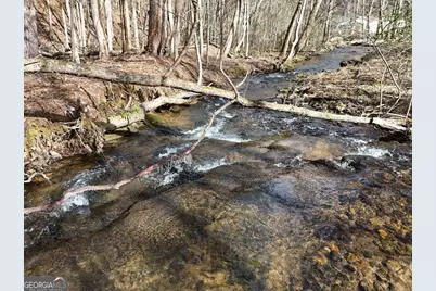 Tract 3 Whippoorwill Way, Blairsville, GA 30512 - Photo 19