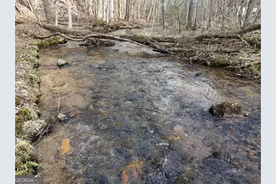 Tract 3 Whippoorwill Way, Blairsville, GA 30512 - Photo 17