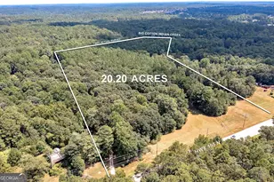 3154 Hwy 155 N, McDonough, GA 30252 - Photo 11