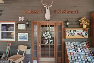 5730 Hwy 356, Sautee Nacoochee, GA 30571 - Photo 3