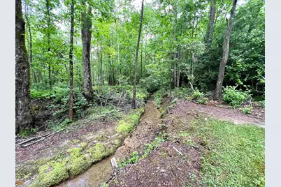 186 Holly Lane, Cleveland, GA 30528 - Photo 43