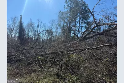 0 Wragler Trail (Lot), Hazlehurst, GA 31539 - Photo 3