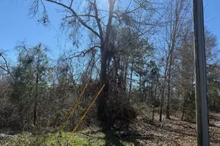 0 Wragler Trail (Lot), Hazlehurst, GA 31539 - Photo 1