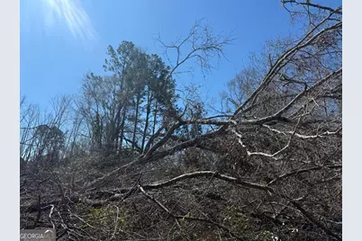 0 Wragler Trail (Lot), Hazlehurst, GA 31539 - Photo 5