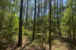 4008 Horseshoe Rd, Dawson, GA 39842 - Photo 13
