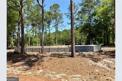 1499 Sapelo Park Drive NE, Townsend, GA 31331 - Photo 5