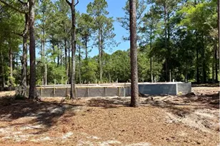 1499 Sapelo Park Dr NE, Townsend, GA 31331 - Photo 5