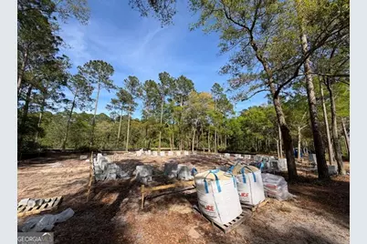 1499 Sapelo Park Drive NE, Townsend, GA 31331 - Photo 7