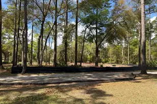 1499 Sapelo Park Dr NE, Townsend, GA 31331 - Photo 9