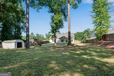 320 Lokeys Lane, Bethlehem, GA 30620 - Photo 53