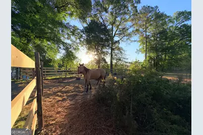 1525 Telfair Line Road, Rhine, GA 31077 - Photo 45