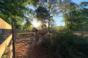 1525 Telfair Line Rd, Rhine, GA 31077 - Photo 45