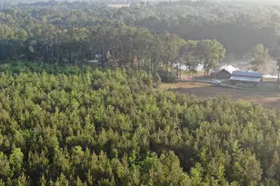 1525 Telfair Line Rd, Rhine, GA 31077 - Photo 73