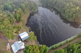 1525 Telfair Line Rd, Rhine, GA 31077 - Photo 57
