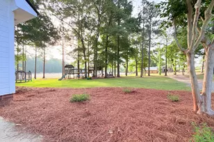 1525 Telfair Line Rd, Rhine, GA 31077 - Photo 37