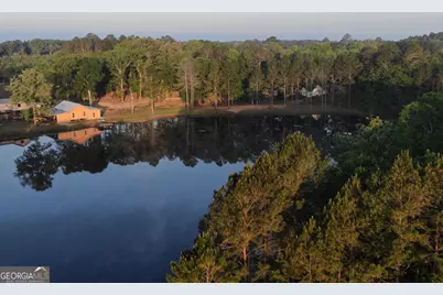 1525 Telfair Line Road, Rhine, GA 31077 - Photo 61