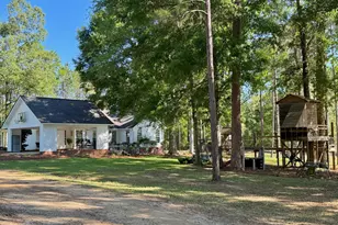 1525 Telfair Line Rd, Rhine, GA 31077 - Photo 41
