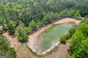1198 Fiddlers Cove NE, Townsend, GA 31331 - Photo 55