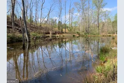 0 Veterans Drive, Danielsville, GA 30633 - Photo 15