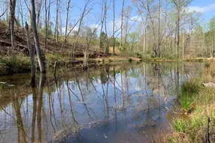 0 Veterans Dr, Danielsville, GA 30633 - Photo 15
